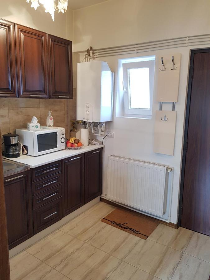 Apartamento Garsoniera Mihaela Petroşani Exterior foto