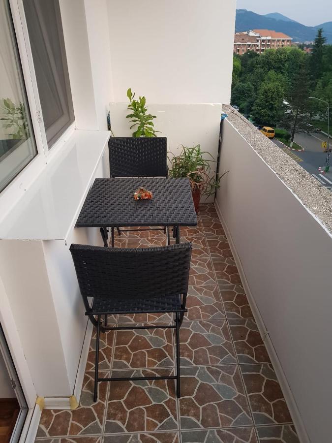 Apartamento Garsoniera Mihaela Petroşani Exterior foto